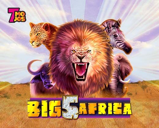Big 5 africa